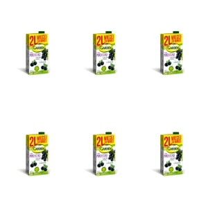 Garden Napój czarna porzeczka 2 l X6