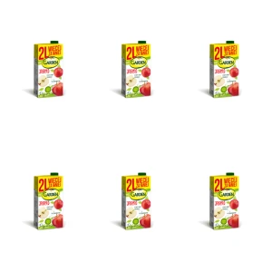 Garden Napój jabłko 2 l X6