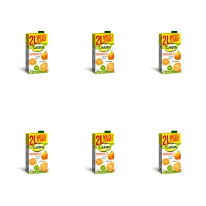 Garden Napój pomarańcza 2 l X6