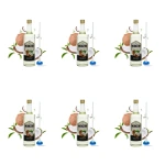 Syrop Monzini kokos 1L z pompką X6