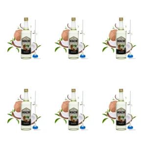 Syrop Monzini kokos 1L z pompką X6