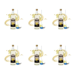 Syrop Monzini wanilia 1L z pompką X6