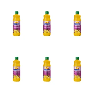 Sunquick koncentrat napoju o smaku marakuii 700 ml X6