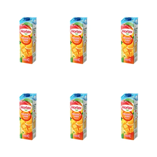 1773271732720-6028-2-x6-63dhp4.png