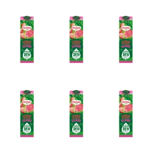 Hortex Tropical Duo Napój Czerwone winogrono gujawa karton 1L X6