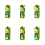 Hortex Tropical Duo Napój Pomarańcza Yuzu karton 1L X6