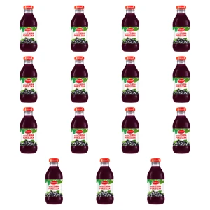 Fortuna Nektar czarna porzeczka 300 ml X15