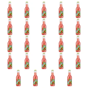Tymbark Napój malina mięta 250 ml X24