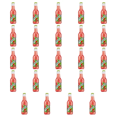 1773272484862-6979-2-x24-vsoeii.png