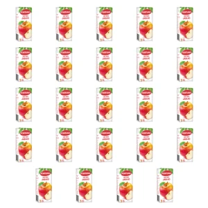 Fortuna Sok 100% jabłko 200 ml X24