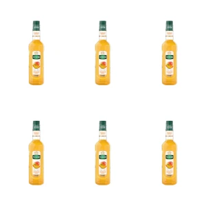 Mathieu Teisseire Syrop Mango 0,7L X6