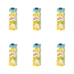 Hortex Nektar banan karton 1 l X6