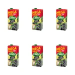 Costa Czarna porzeczka Napój karton 2 l X6