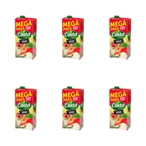 COSTA Napój jabłko karton 2 l X6