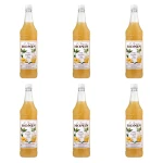 Monin Cloudy Lemonade - syrop baza lemoniady 1l X6