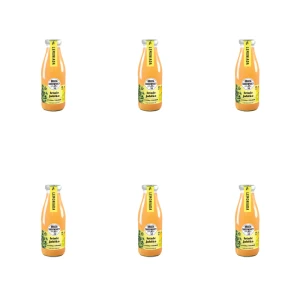 Letnie Jabłko z cytryną i tymiankiem 500 ml Bracia Sadownicy X6