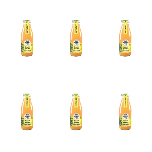 1773274769298-10317-2-x6-nmdnf8.png