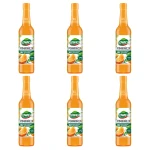 Łowicz Suplement diety syrop o smaku pomarańczowym 400 ml X6