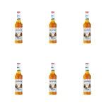 Monin Caramel Sugar Free - syrop bezcukrowy karmelowy 0,7l X6
