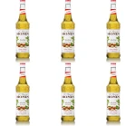 Monin Hazelnut - syrop orzech laskowy 0,7l X6