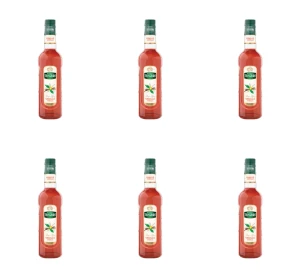 Mathieu Teisseire Syrop wanilia 0,7L X6