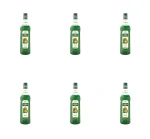 Mathieu Teisseire Syrop Kiwi 1L X6