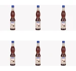Syrop Fabbri Gourmet Syrup Vanilla 560 ml X6