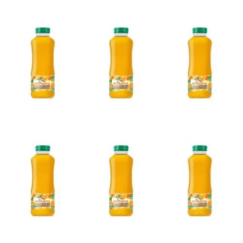 Wosana Sok pomarańczowy 100% 500 ml X6 1773271936591-6286-2-x6-gvne9l.png