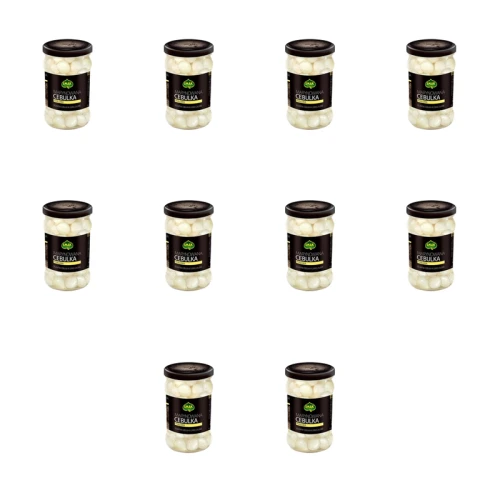 1773268068356-1111-2-x10-nyon9w.png