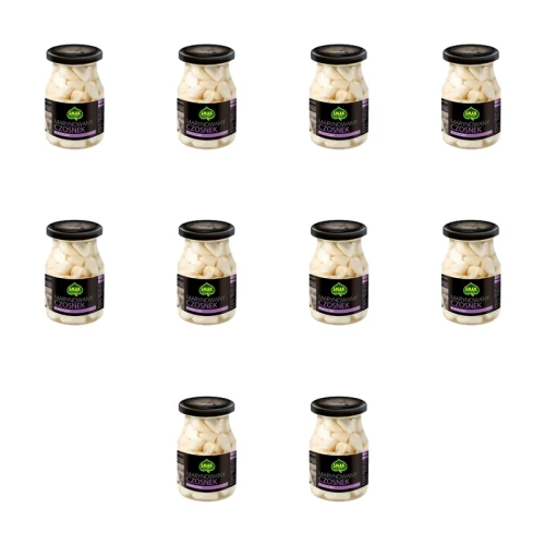 1773268068879-1112-2-x10-hp6av.png