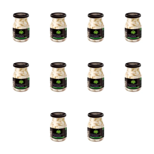 1773268069430-1113-2-x10-nq4pc6.png