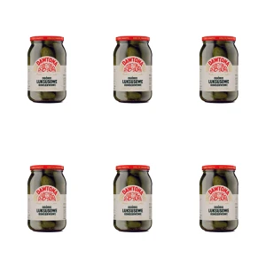 Ogórki konserwowe luksusowe 900g produkt pasteryzowany Dawtona X6