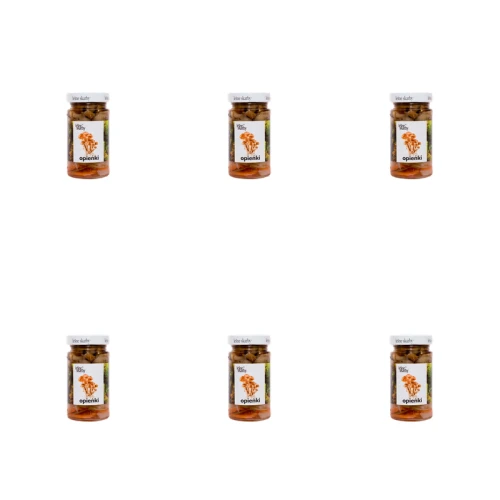 1773271662537-5940-2-x6-9g691.png