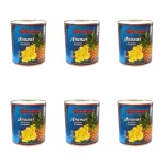 Giana Ananas kawałki w zalewie 3100ml X6