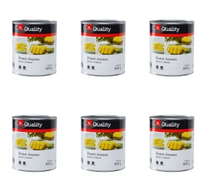 TGQ Ananas w kawałkach w wodzie 3035g X6