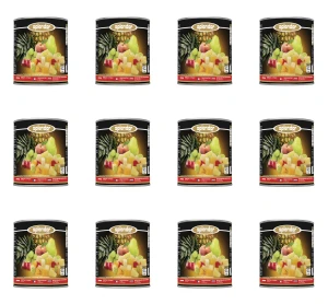 SPLENDOR Koktajl z pięciu owoców 820 g X12