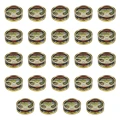 1773268938798-2338-2-x24-gxyogc.png