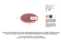 1771869095954-602-4-plwtcg.png