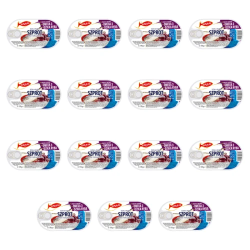 1773269520898-3107-2-x15-zv562.png