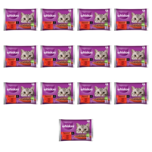 1773267857735-834-2-x13-2h1w0c.png