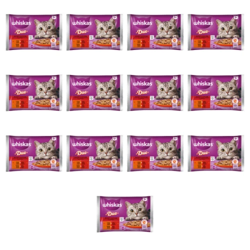 1773267860592-837-2-x13-6baxl6.png
