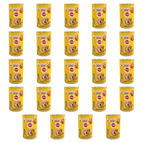 1773268007387-1027-2-x24-7ocj9s.png