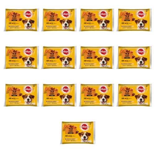 1773268009121-1029-2-x13-4jaezg.png