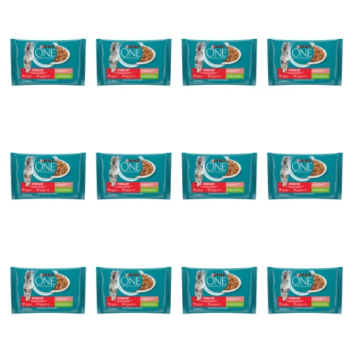1773269671203-3320-2-x12-4mjwgk.png