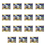PreVital karma dla kotów sterylizowanych z łososiem w sosie 4x85g X15