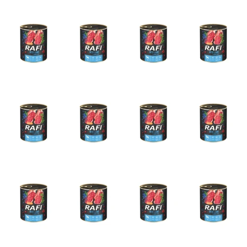1773269692959-3349-2-x12-ijzslk.png