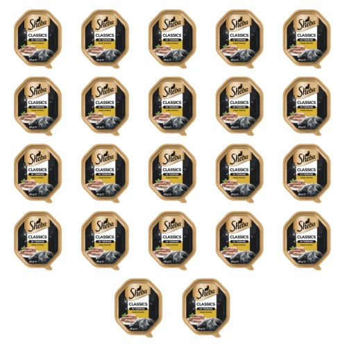 1773269782333-3472-2-x22-te2km0s.png