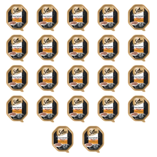 1773269784331-3474-2-x22-zj5cls.png