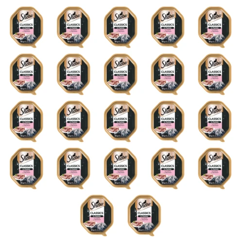 1773269785941-3476-2-x22-pnhgb6.png