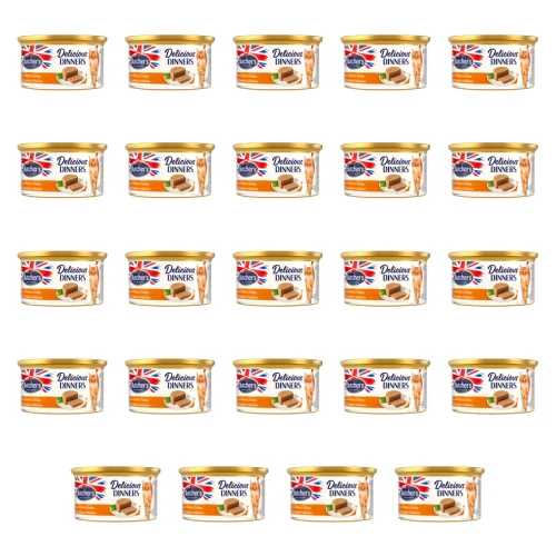 1773269799701-3490-2-x24-dgsjap.png